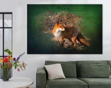 Fuchs im spätsommerlichen Sonnenlicht von Carla van Zomeren