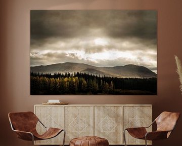 Landschaft in Schottland mit Kiefern von RUUDC Fotografie
