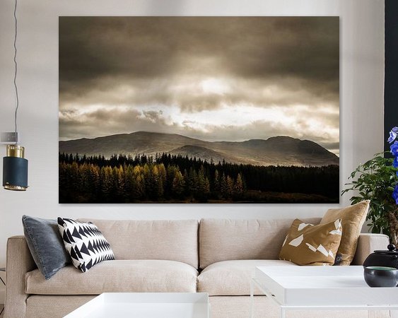 Aperçu de la chambre