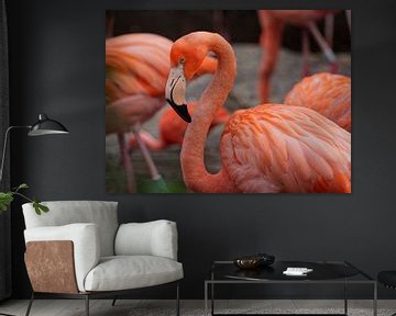 Flamingo pose