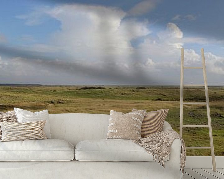 Sfeerimpressie behang: Panorama Ballumer duinen van Sander de Jong