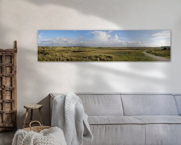 Panorama Ballumer duinen van Sander de Jong