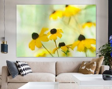 Yellow Rudbeckia's by Corinne Welp