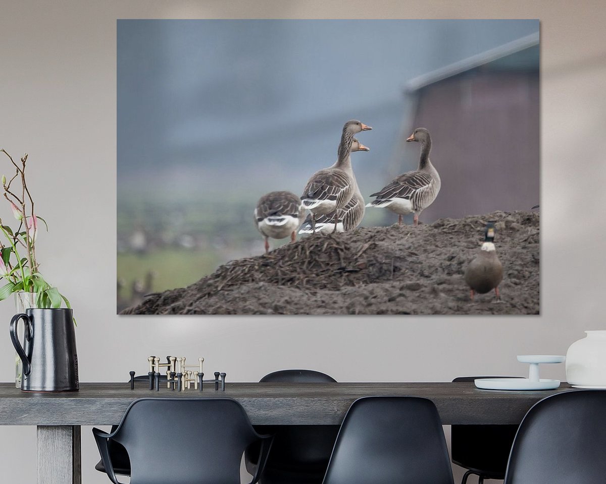Voorbeeld van het werk in een kamer