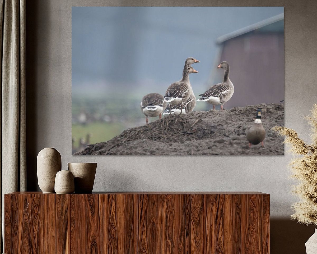 Voorbeeld van het werk in een kamer