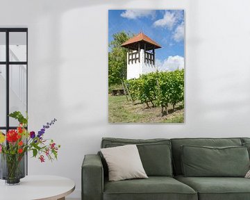 Vineyard storm in Rheinhessen by Peter Eckert