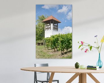 Wijngaardstorm in Rheinhessen van Peter Eckert