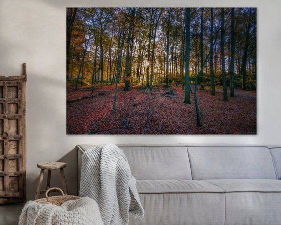 Aperçu de la chambre