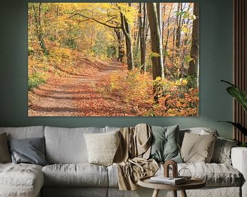 bosweg in herfstkleuren van Roger Hagelstein