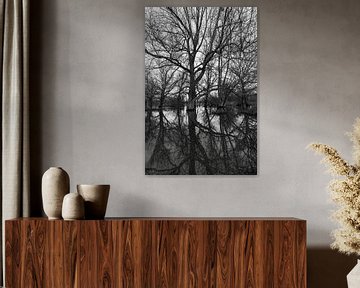 Reflet parfait d'un arbre à marée haute dans la Meuse sur Kim Willems