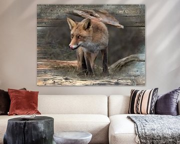 Likkebarende vos op houten achtergrond van Carla van Zomeren