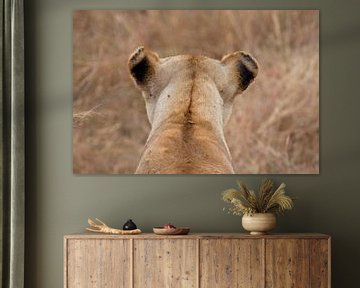 Lion dans le parc national du Serengeti, Tanzanie sur Teun Janssen