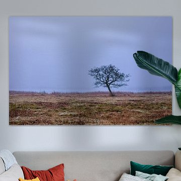 Characteristic tree at the water cat