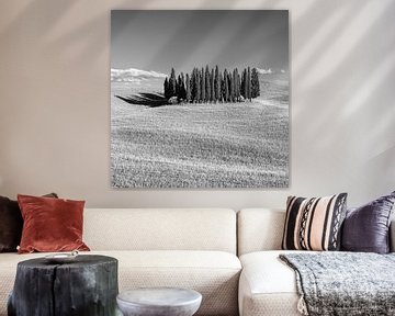 Kreis von Zypressen in Torrenieri, Toskana, Italien von Henk Meijer Photography