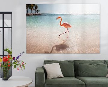 Der Flamingo-Spaziergang