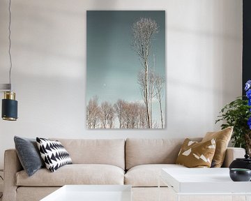 Bäume im Winter von Carla van Zomeren