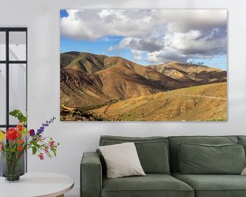 Vulkaanlandschap met verschillend gekleurde bergen op het eiland Fuerteventura van Reiner Conrad