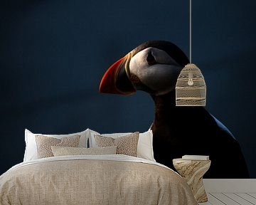 Puffin at sunset by Claudia van Zanten