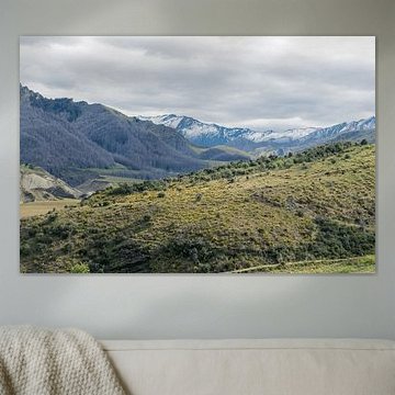 Blick auf Skippers Canyon von Linda Schouw