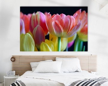 Tulips by Ineke Klaassen