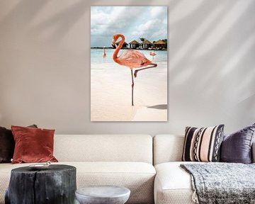 Roze Flamingo op het Eiland Aruba van Henrike Schenk