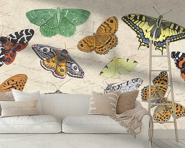 Butterflies and moth by Jasper de Ruiter