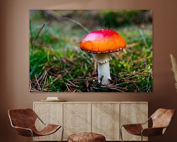 Rode paddenstoel in het gras van Linda Schouw