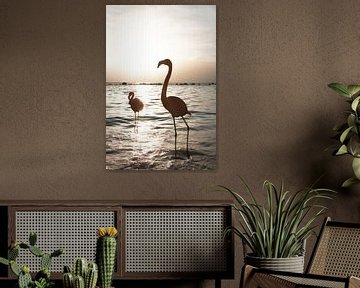 Flamingo's Bij Zonsondergang Op Aruba van Henrike Schenk