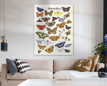 Butterflies van Jasper de Ruiter