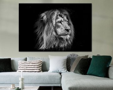Dieren | leeuw van Sylvana Portier