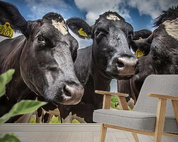 3 nieuwsgierige koeien van Ramona Stravers