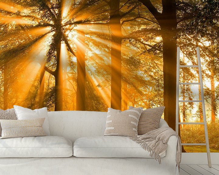 Sfeerimpressie behang: Zonneharpen in het bos van Sam Mannaerts