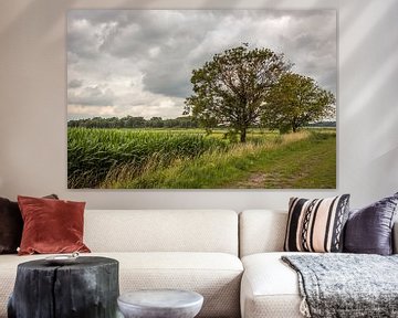 Nederlands polderlandschap met bomen en een zwaarbewolkte hemel van Ruud Morijn