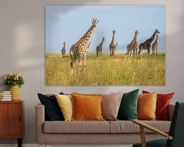 A family of giraffes in Uganda. by Gunter Nuyts