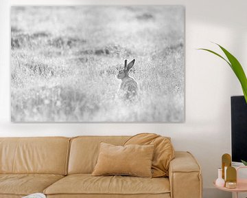 Hare by joas wilzing