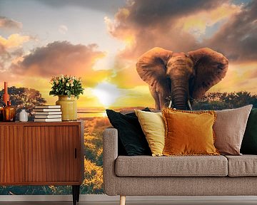 Elephant in sunset, sunrise by Fotos by Jan Wehnert