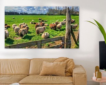 Kudde schapen Texel van Digital Art Nederland