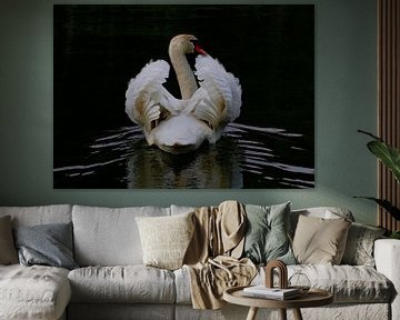 Mute swan in the twilight by rene marcel originals