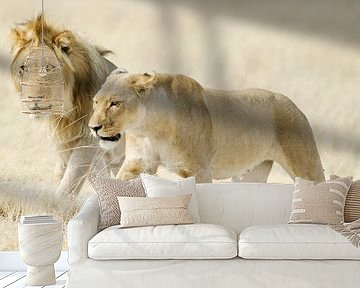 Twee leeuwen op Afrikaanse savanne