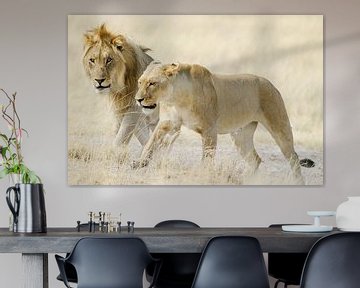 Two lions on African savannah by Melissa Peltenburg