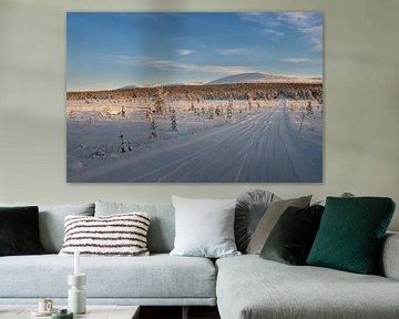 Winter landschap van Marco Lodder