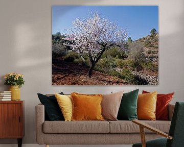 Blossoming almond tree in the open field, somewhere in the Spanish inlands by Gert Bunt