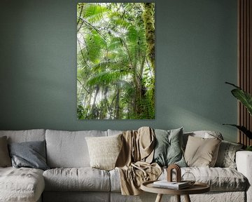 palmen in nevelwoud,Ecuador van Hanneke Bantje