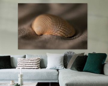 Muschel im Sand von Leo Kramp Fotografie