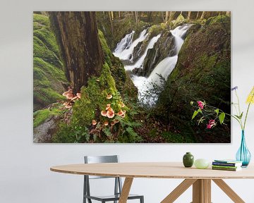 Chute d'eau en forêt sur Sam Mannaerts