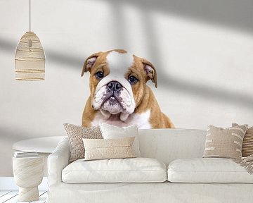 Bulldogge in der Badewanne - Hunde-Badehumor