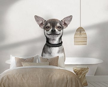 Chihuahua Hond In Badkuip - Honden Badkamer Humor van Diana van Tankeren