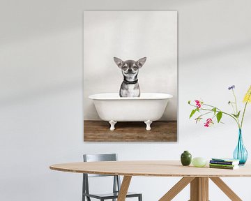 Chihuahua Hond In Badkuip - Honden Badkamer Humor van Diana van Tankeren