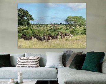 Zebra's en buffel in landschap Kruger park van Frits Schulte