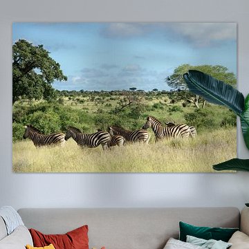 Zebra's en buffel in landschap Kruger park